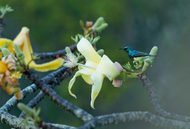 Biodiversità
